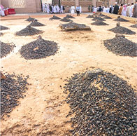 Jannat-Ul-Baqi